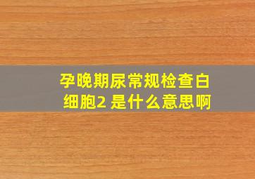 孕晚期尿常规检查白细胞2 是什么意思啊